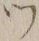 文字 ツ