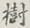 文字樹