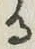 文字 る
