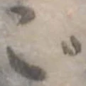 ご 위치 확인됨