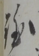 難 위치 확인됨