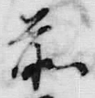 글자 前
