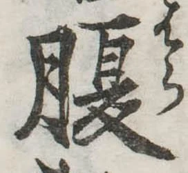 腹 위치 확인됨