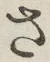 글자 さ