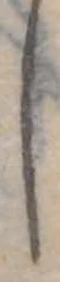 𛁅 위치 확인됨