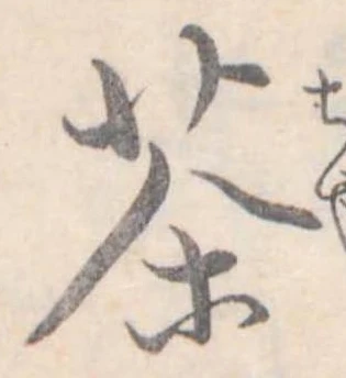 茶 위치 확인됨