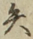 글자 矢