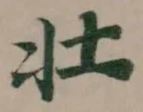 壮の位置