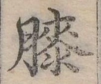 已定位膝
