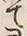 글자 霊