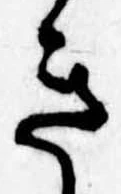 Đã định vị き