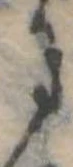𛂌 위치 확인됨