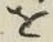 文字 を