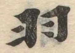 羽 위치 확인됨
