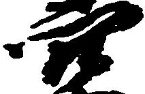 已定位穴