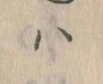 已定位𛂞