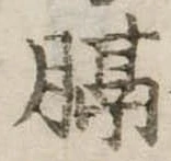 Đã định vị 膈