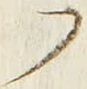 𡨸フ