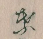 位置定マレル葉
