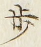 Character 歩