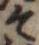 位置 確認된 そ