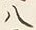 글자 八