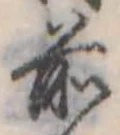 Đã định vị 前