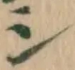 글자 シ