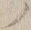 字ノ