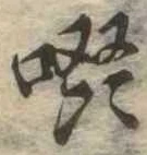 啜の位置