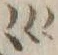 글자 検