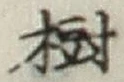 글자 樹