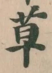 草 위치 확인됨
