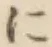 文字に