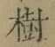 글자 樹