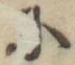 𛂋 위치 확인됨