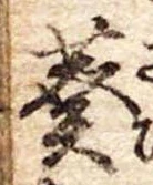 Đã định vị 葵