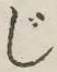글자 じ