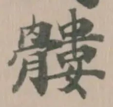 Located 髏
