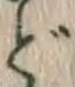 文字ど