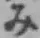글자 み