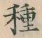 글자 種