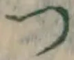 文字 つ