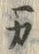𡨸ニ