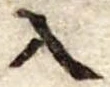 Đã định vị 入