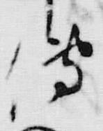글자 伝