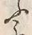 글자 ふ