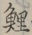 文字鯉