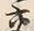 Chữ 交