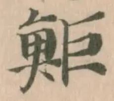 位置 確認된 鮔